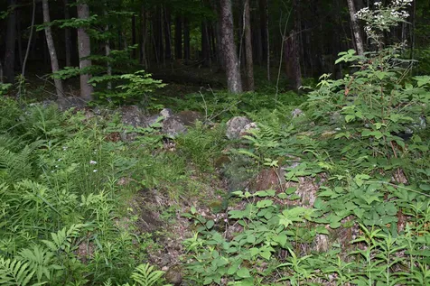 194 Ibey Road Enfield NH 03748