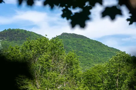 2296 Route 30 Dorset VT 05251