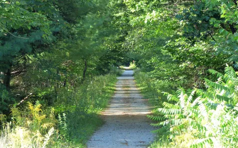 201 Us Route 4 Wilmot NH 03287