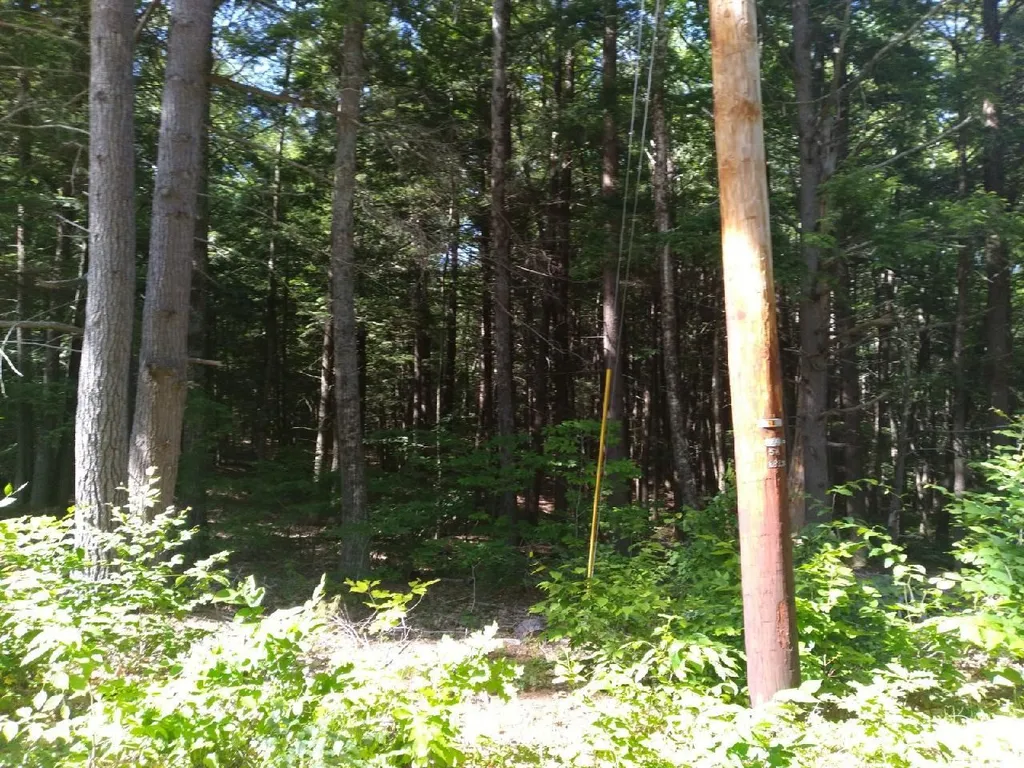 208-26 Hammond Road Deerfield NH 03037