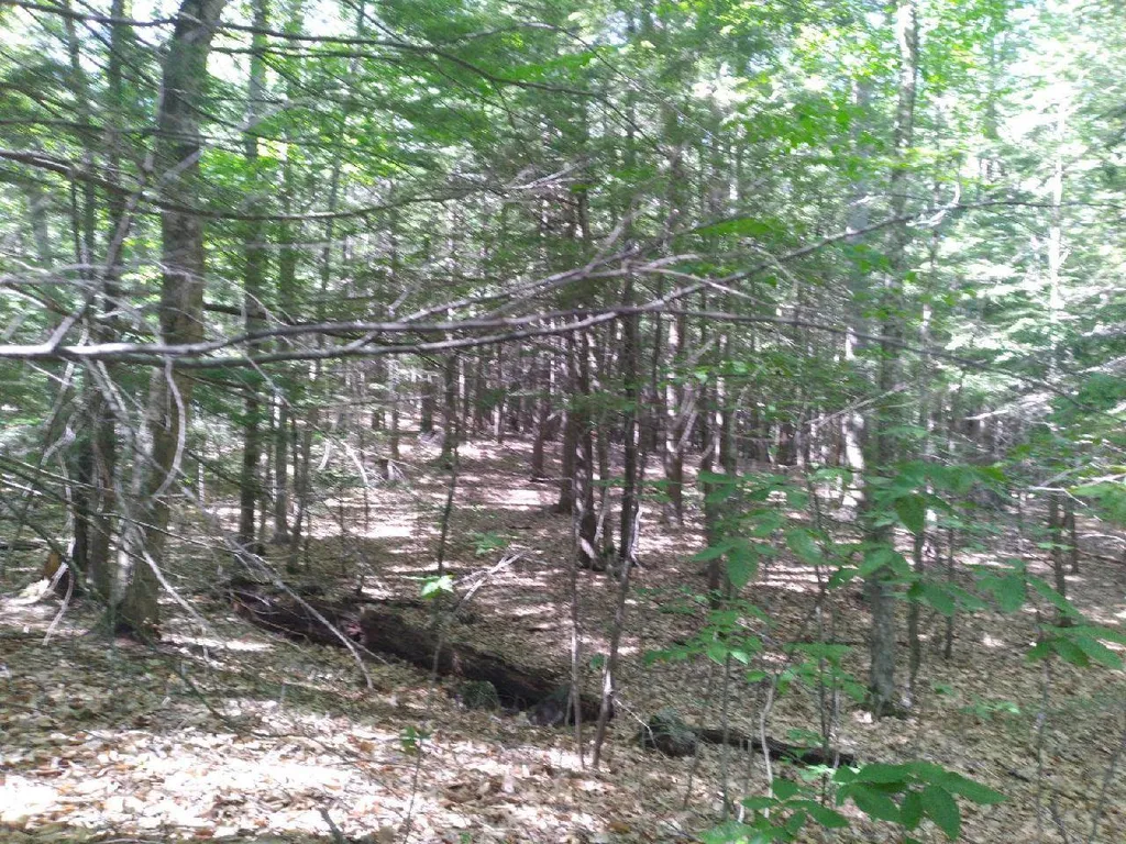 208-26 Hammond Road Deerfield NH 03037