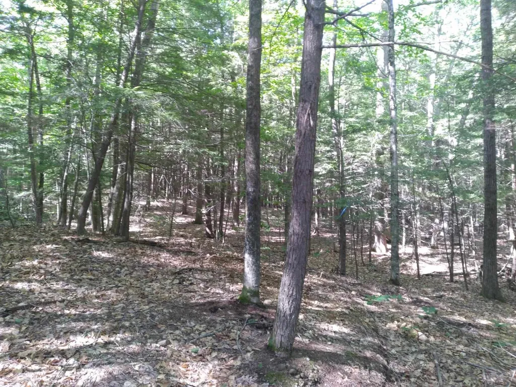 208-26 Hammond Road Deerfield NH 03037