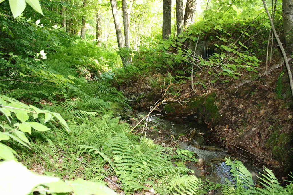 00 Old Mount Hunger Road Barnard VT 05031