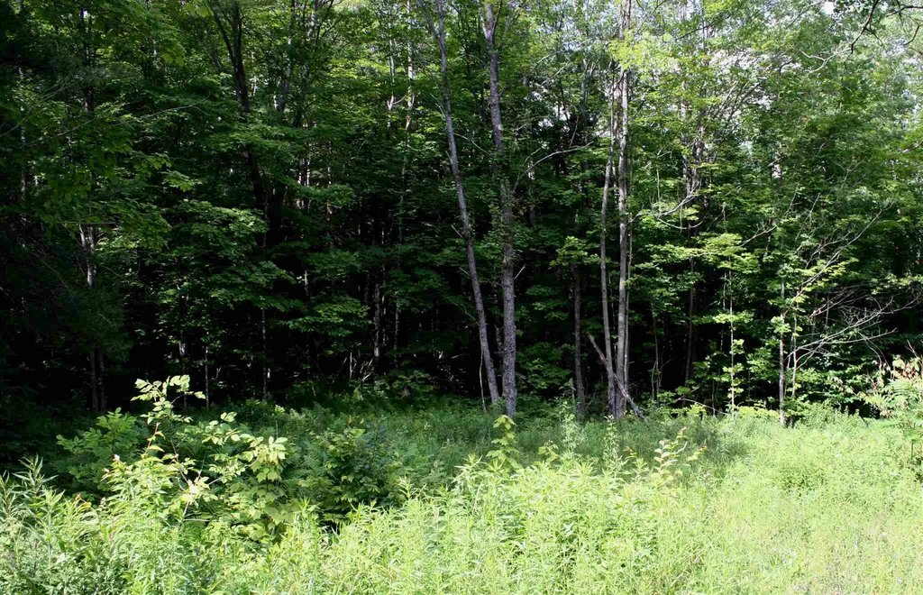 00 Old Mount Hunger Road Barnard VT 05031