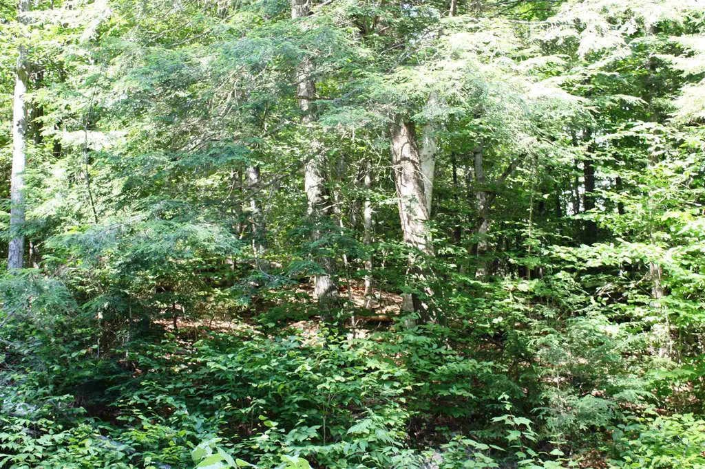 00 Old Mount Hunger Road Barnard VT 05031