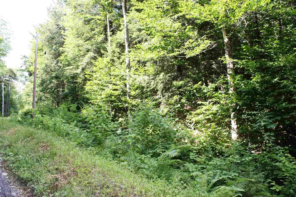 00 Old Mount Hunger Road Barnard VT 05031