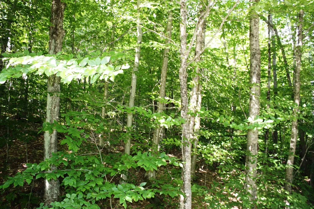 00 Old Mount Hunger Road Barnard VT 05031