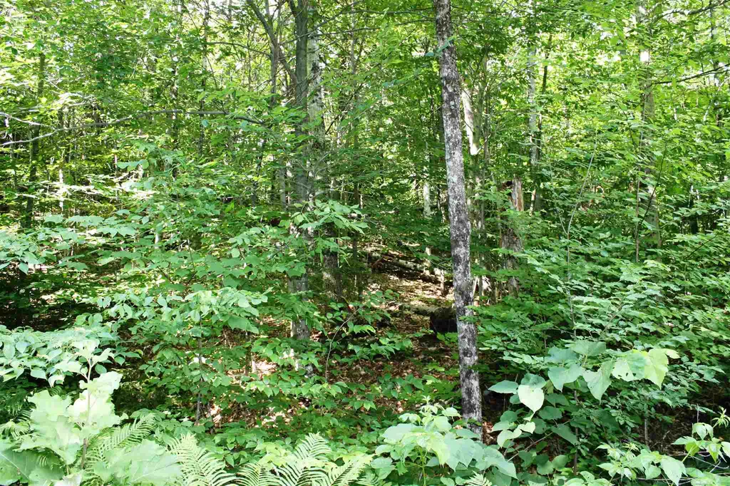 00 Old Mount Hunger Road Barnard VT 05031