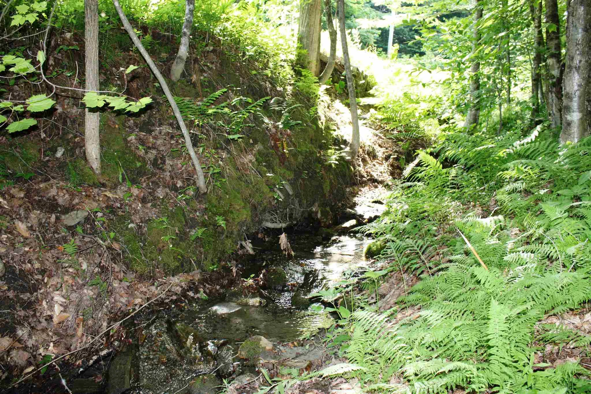 00 Old Mount Hunger Road Barnard VT 05031