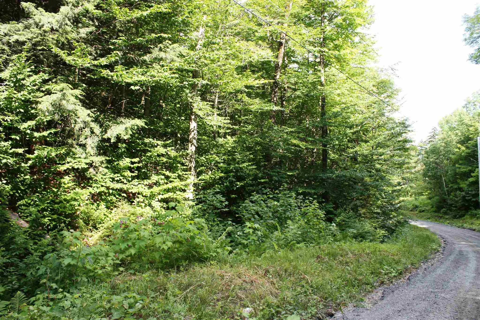 00 Old Mount Hunger Road Barnard VT 05031
