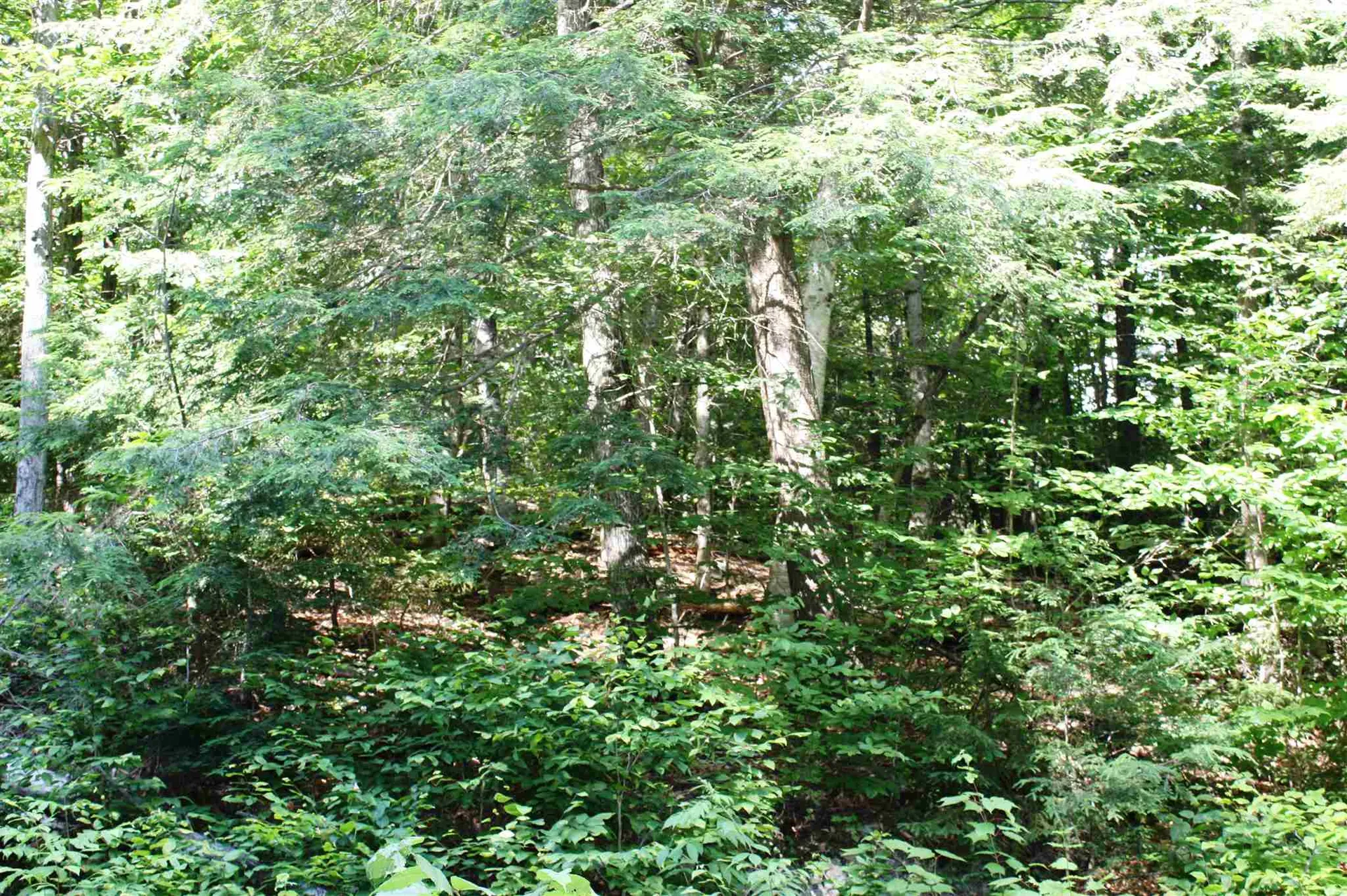 00 Old Mount Hunger Road Barnard VT 05031