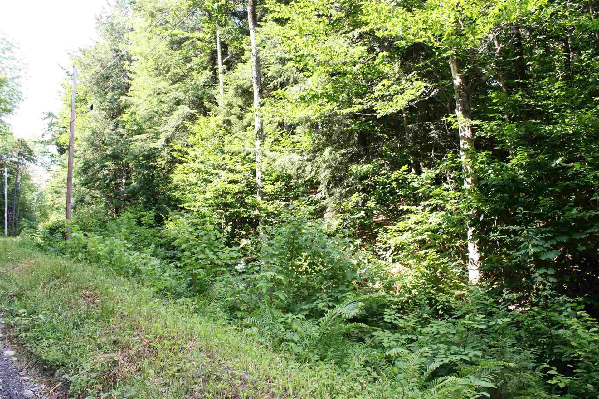 00 Old Mount Hunger Road Barnard VT 05031
