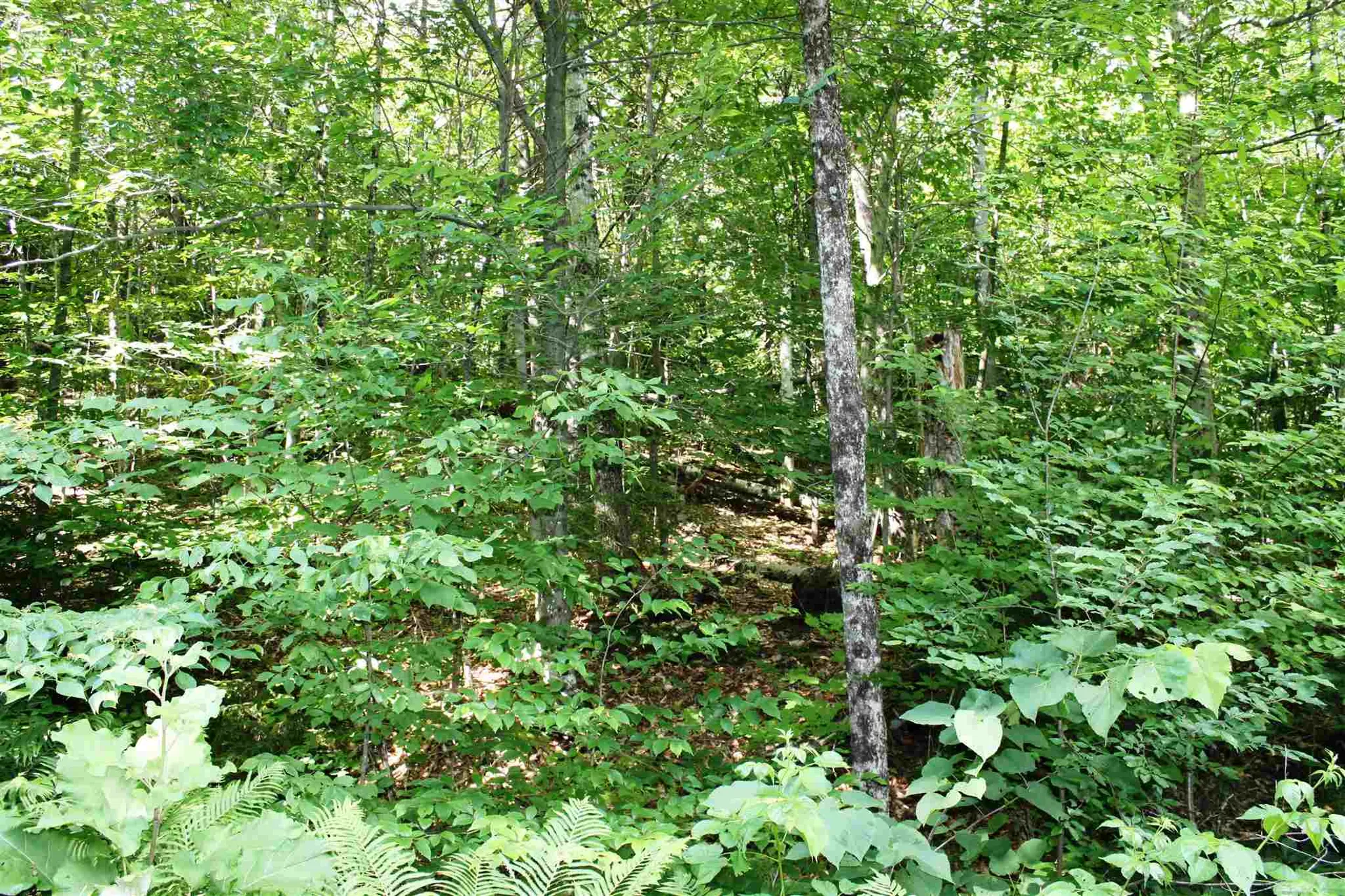 00 Old Mount Hunger Road Barnard VT 05031