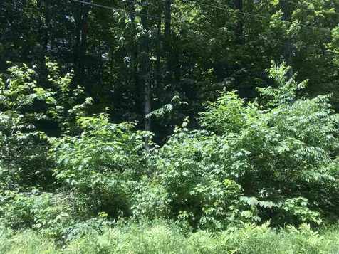 A18 A19 Upper Howe's Road Wilmington VT 05363