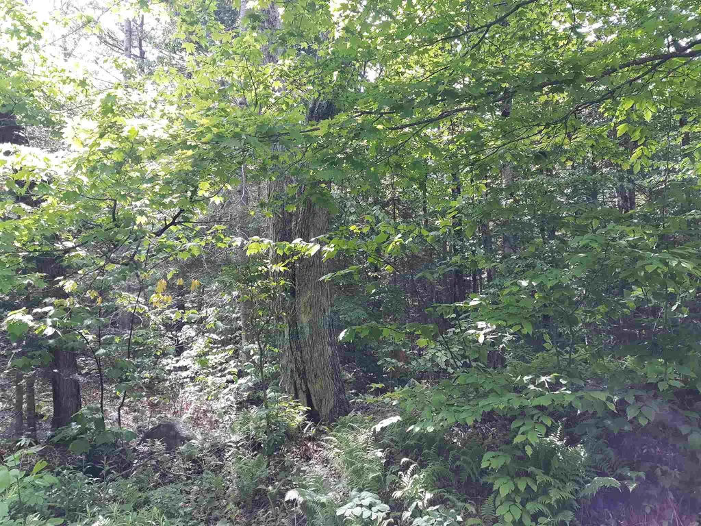 0 Oberdorf Road Stamford VT 05352