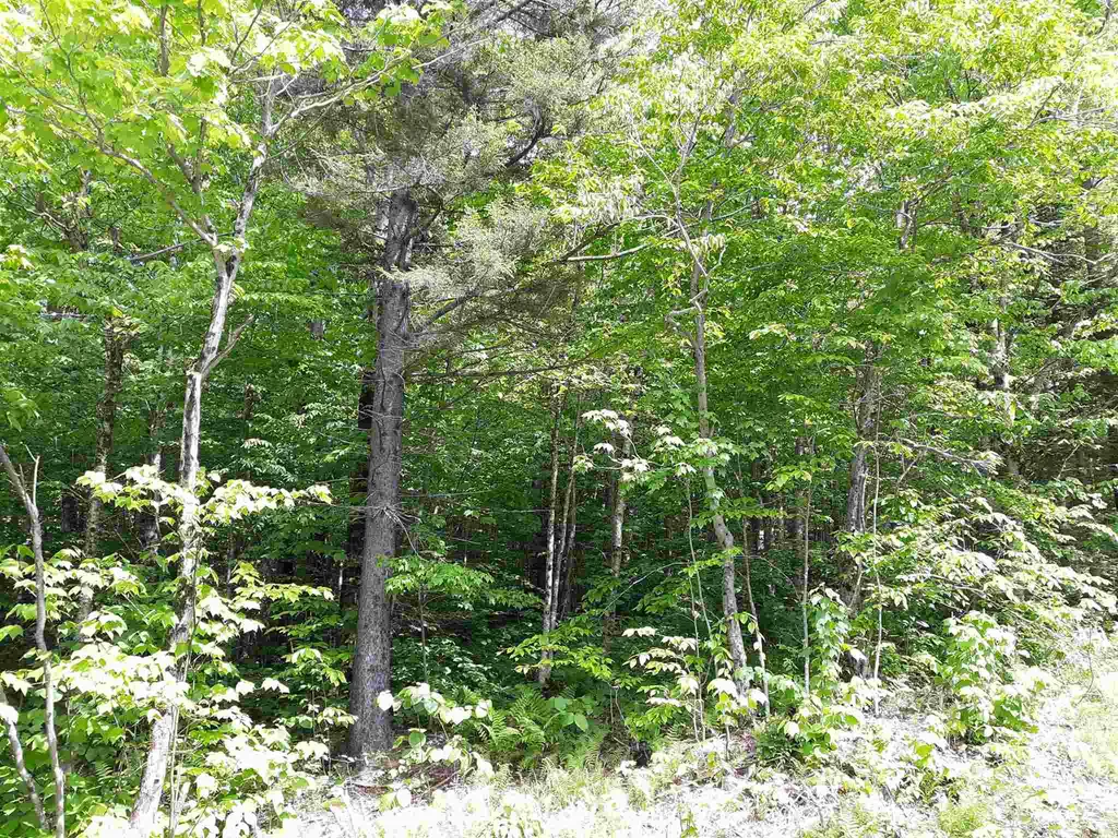 0 Oberdorf Road Stamford VT 05352