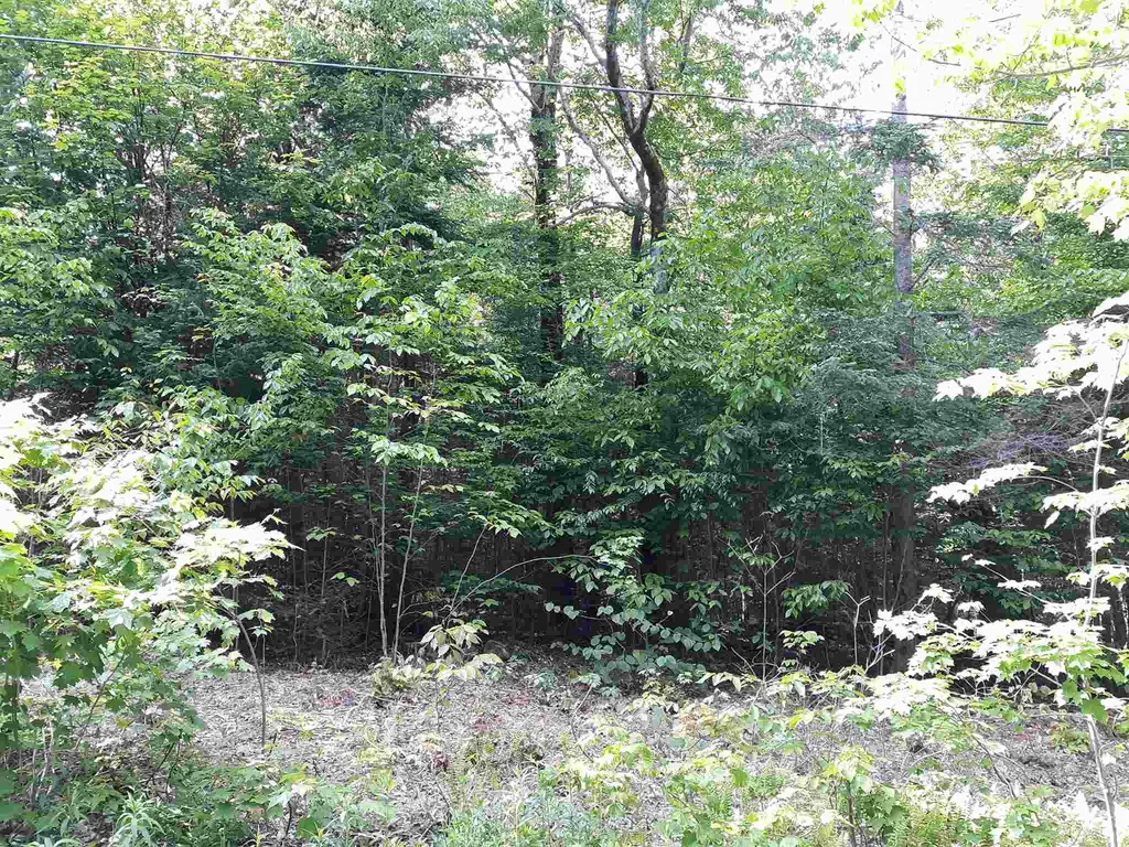 0 Oberdorf Road Stamford VT 05352