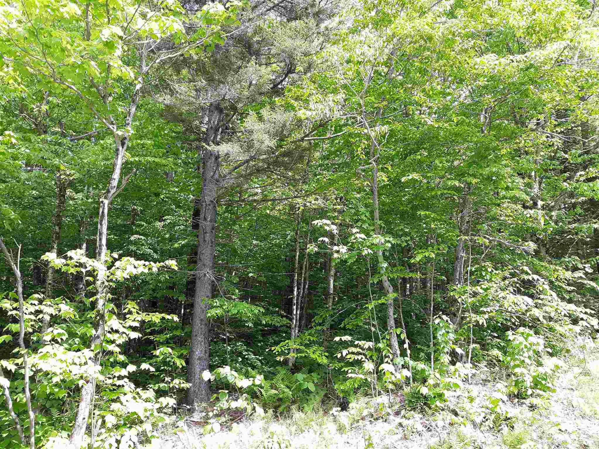 0 Oberdorf Road Stamford VT 05352