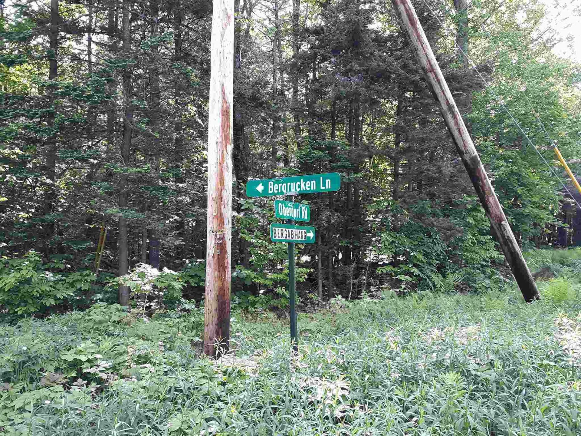 0 Oberdorf Road Stamford VT 05352