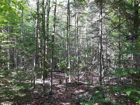 0 Oberdorf Road Stamford VT 05352