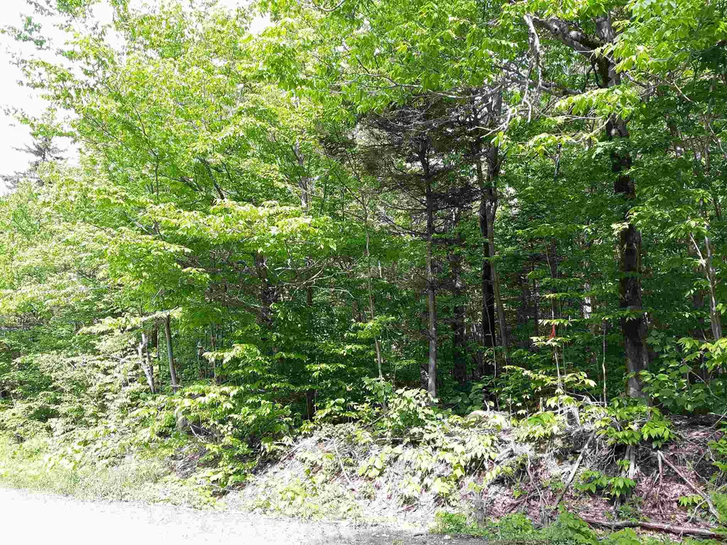 0 Oberhugel Road Stamford VT 05352