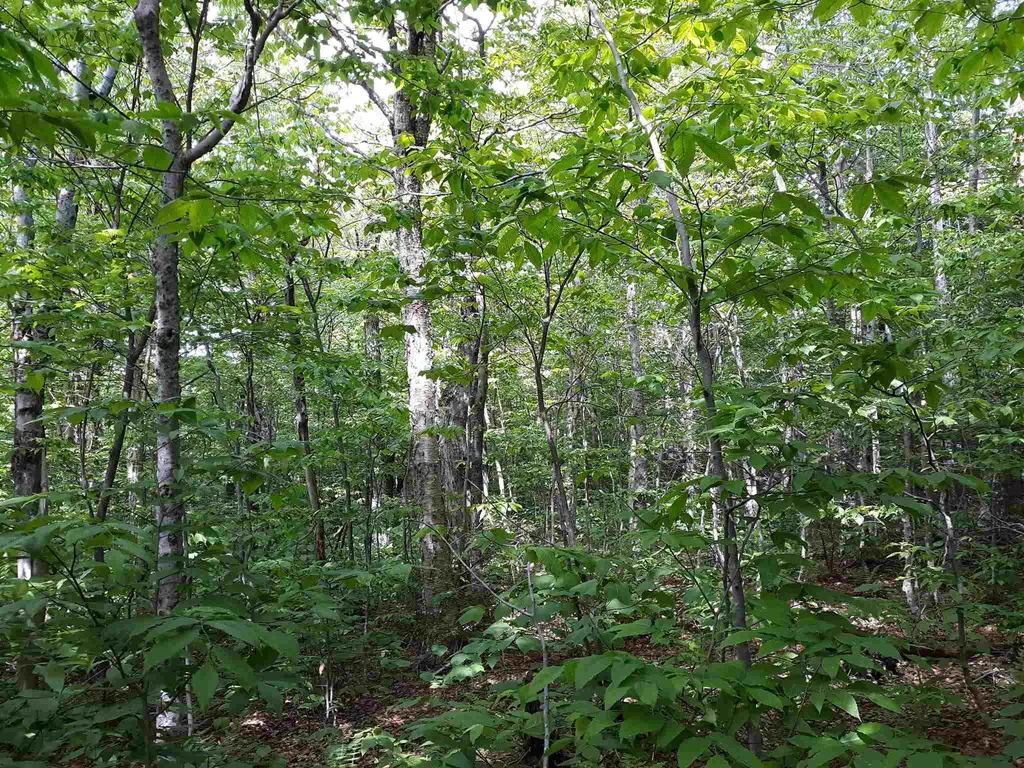 0 Oberhugel Road Stamford VT 05352
