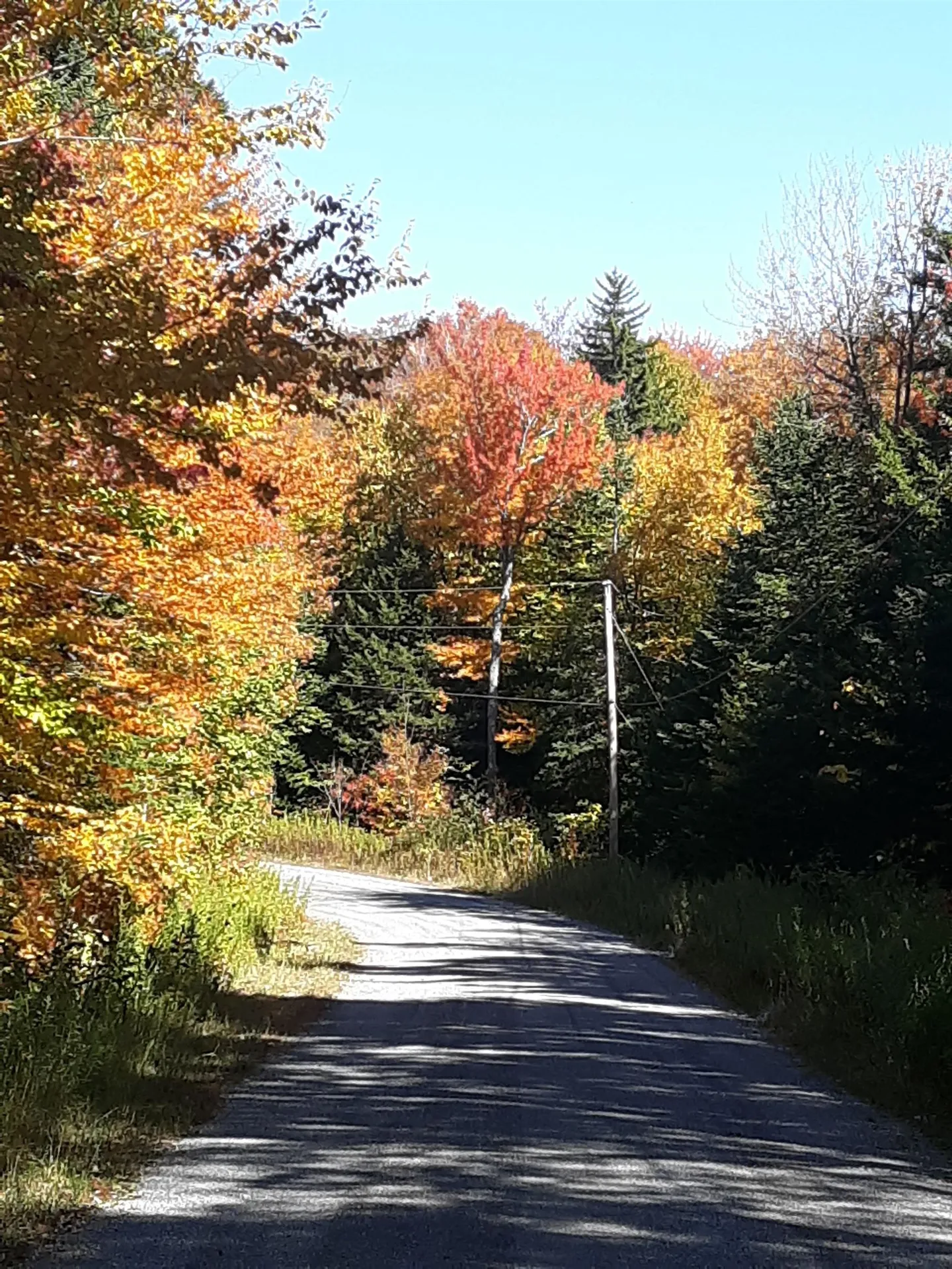 0 Oberhugel Road Stamford VT 05352
