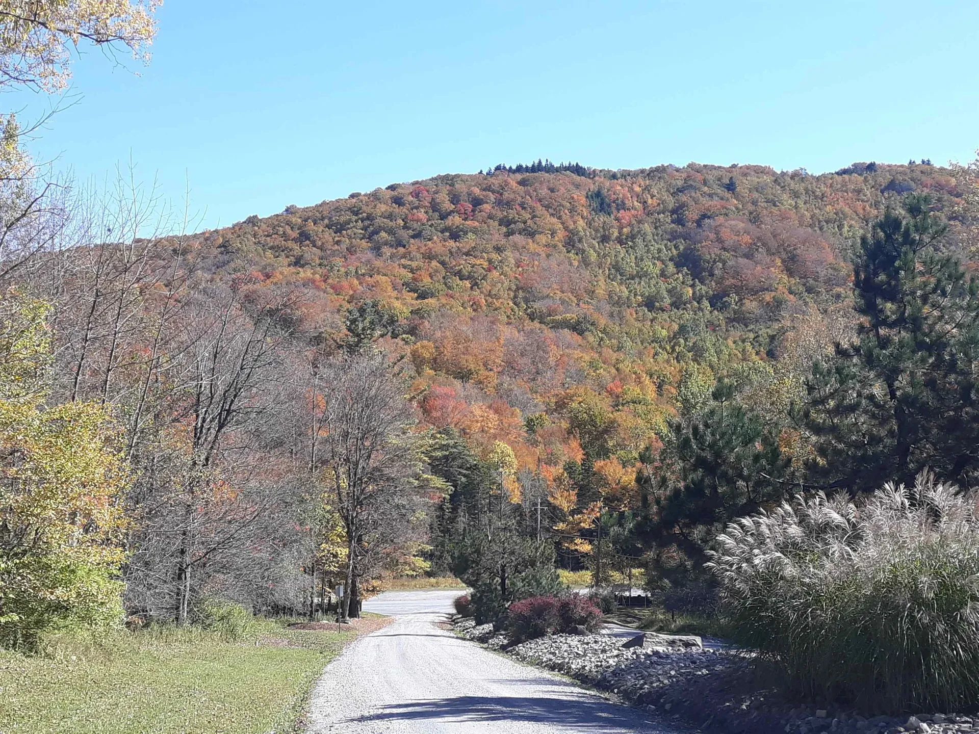 0 Oberhugel Road Stamford VT 05352