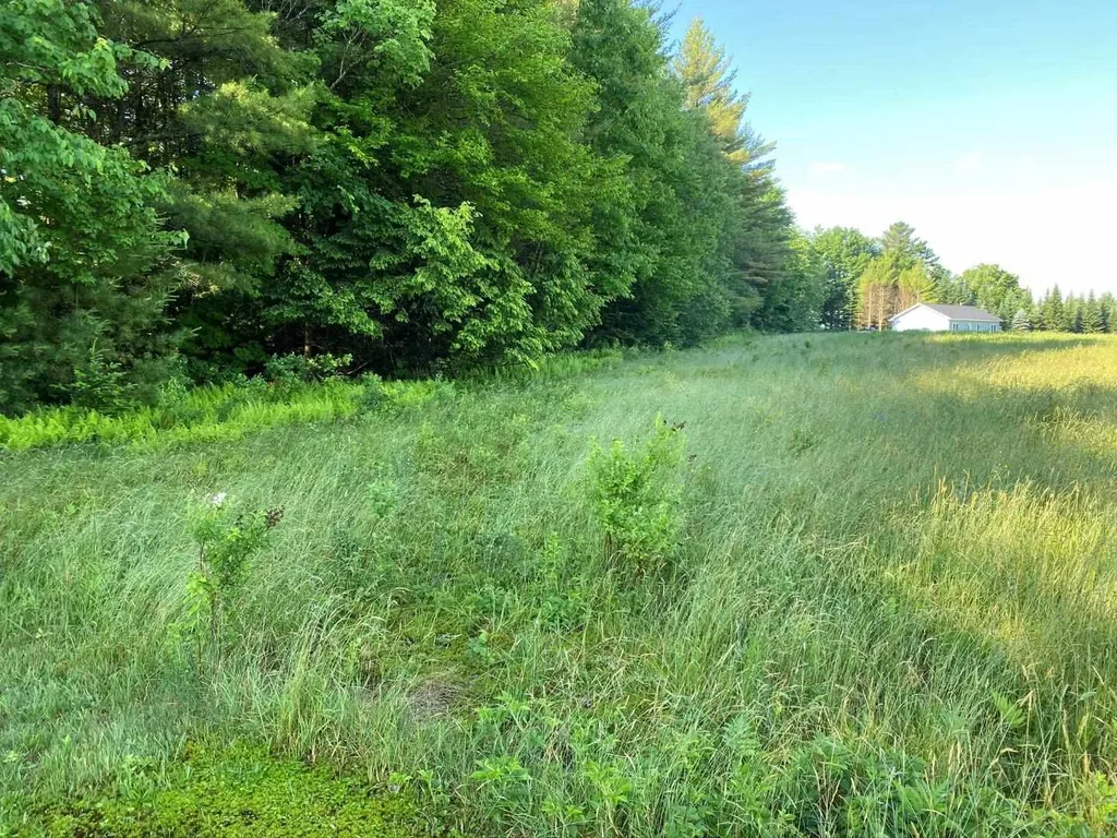 00 Fleury Road And Spruce Lane Hyde Park VT 05655