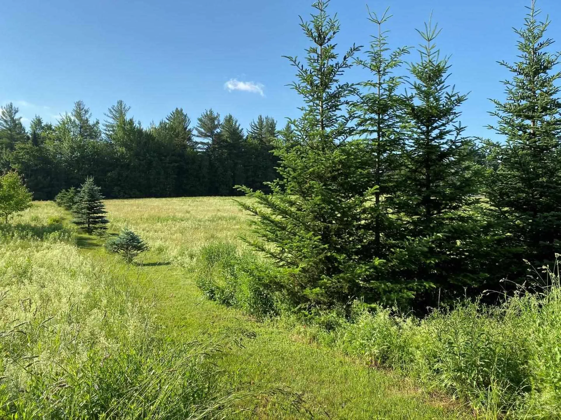 00 Fleury Road And Spruce Lane Hyde Park VT 05655
