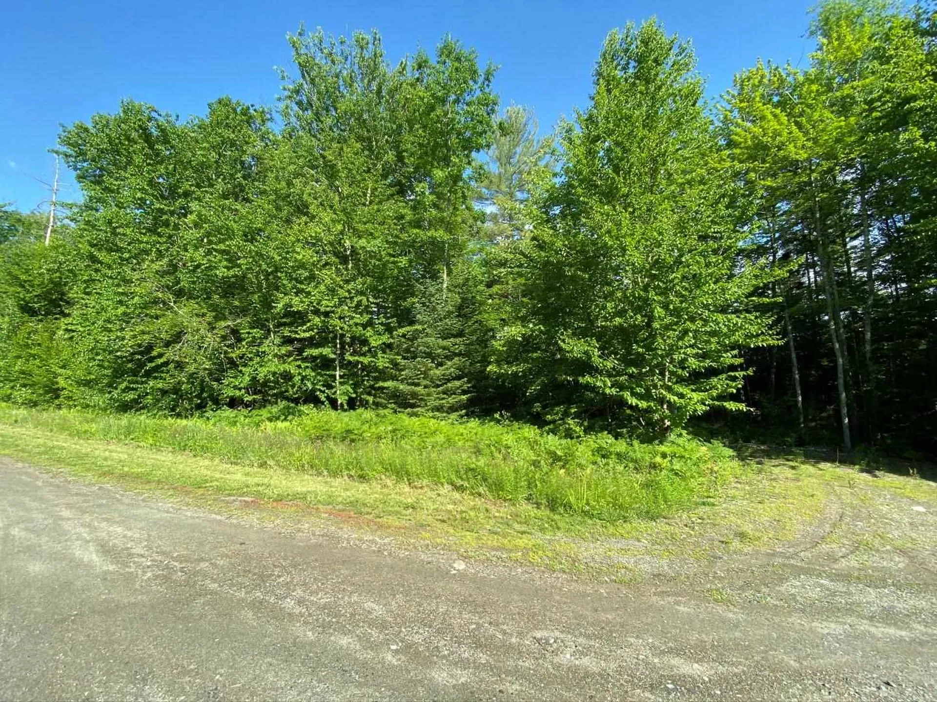 00 Fleury Road And Spruce Lane Hyde Park VT 05655