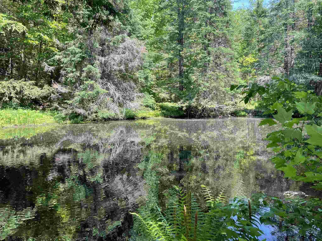 227 Old Sawmill Road Londonderry VT 05148