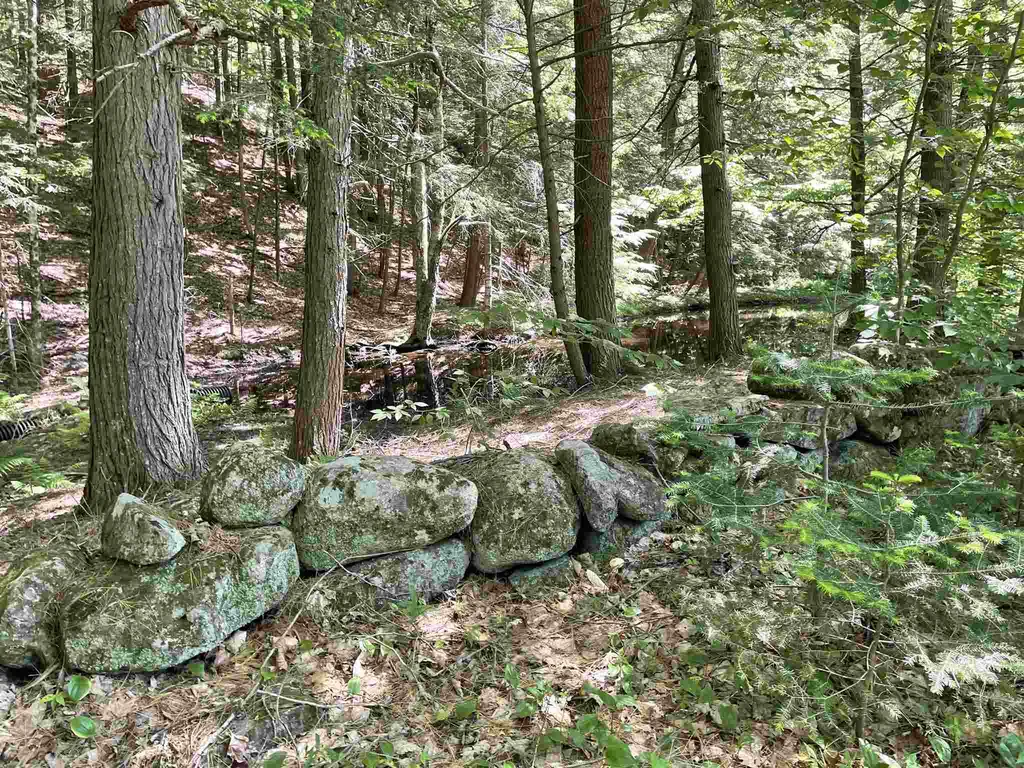 227 Old Sawmill Road Londonderry VT 05148
