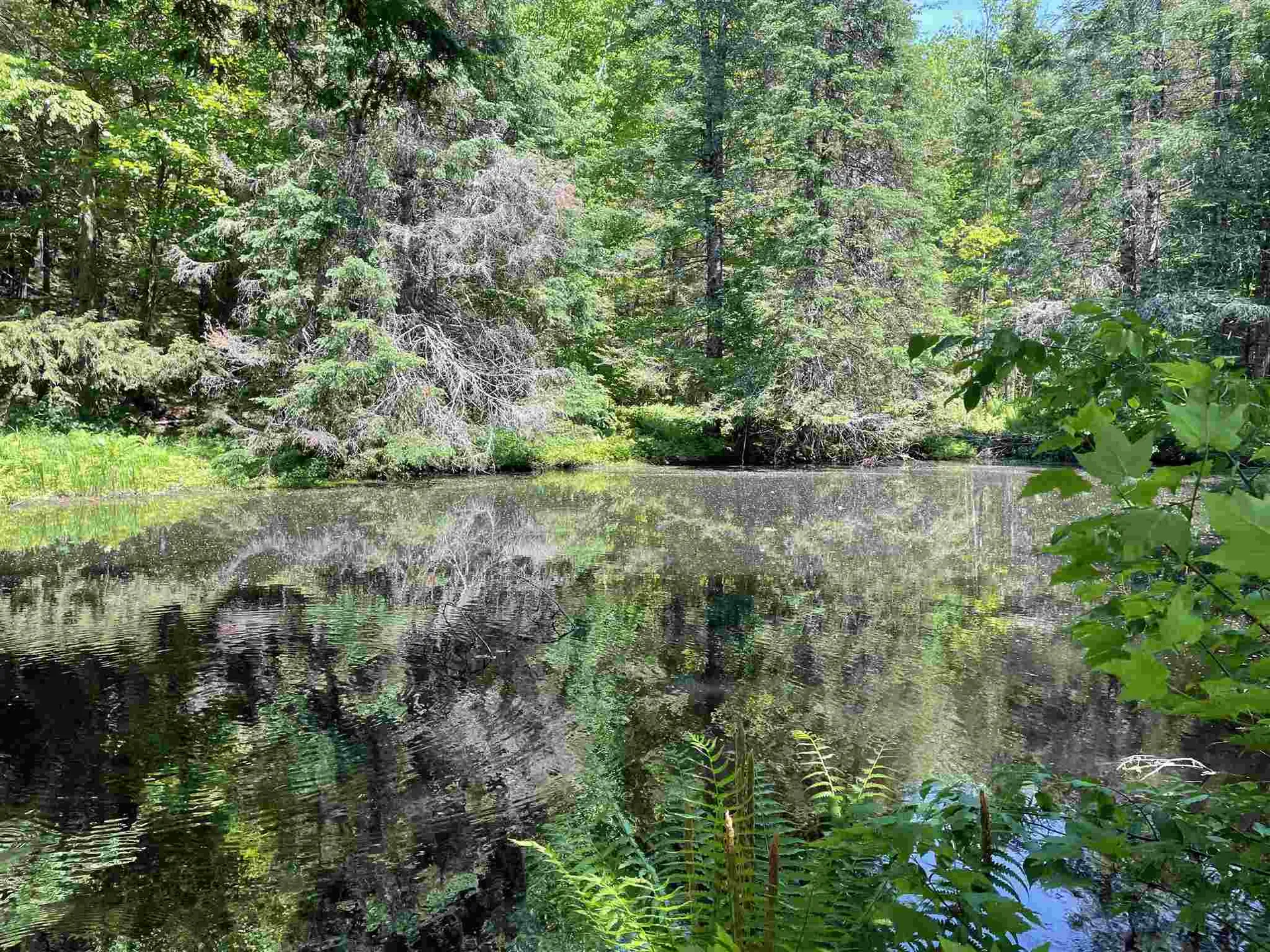 227 Old Sawmill Road Londonderry VT 05148