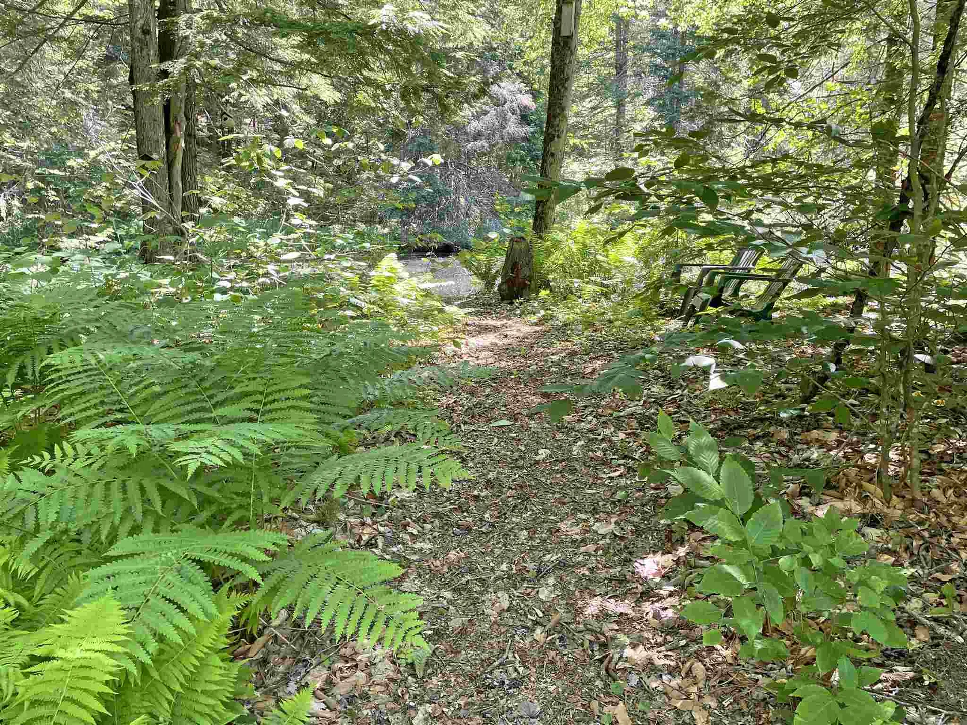 227 Old Sawmill Road Londonderry VT 05148