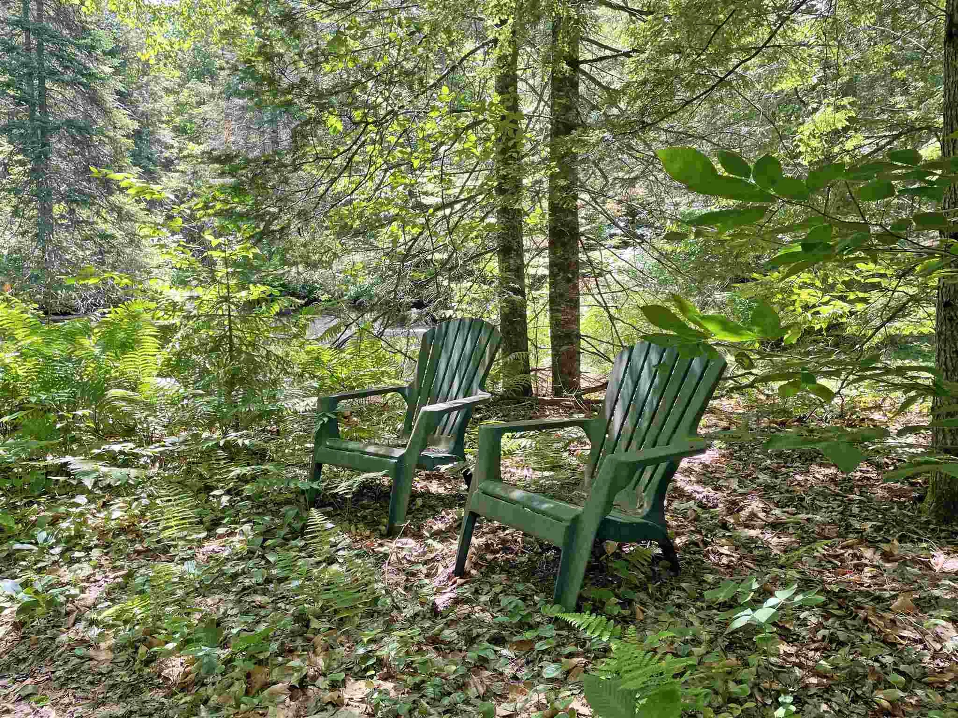 227 Old Sawmill Road Londonderry VT 05148