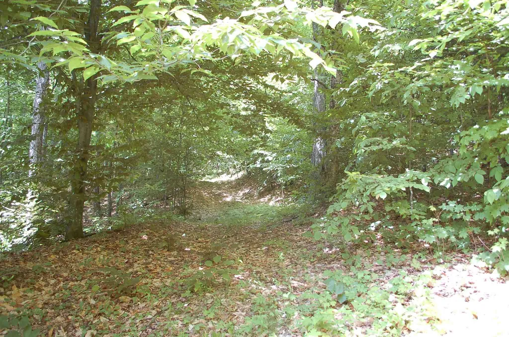 203 Harts Road Topsham VT 05076