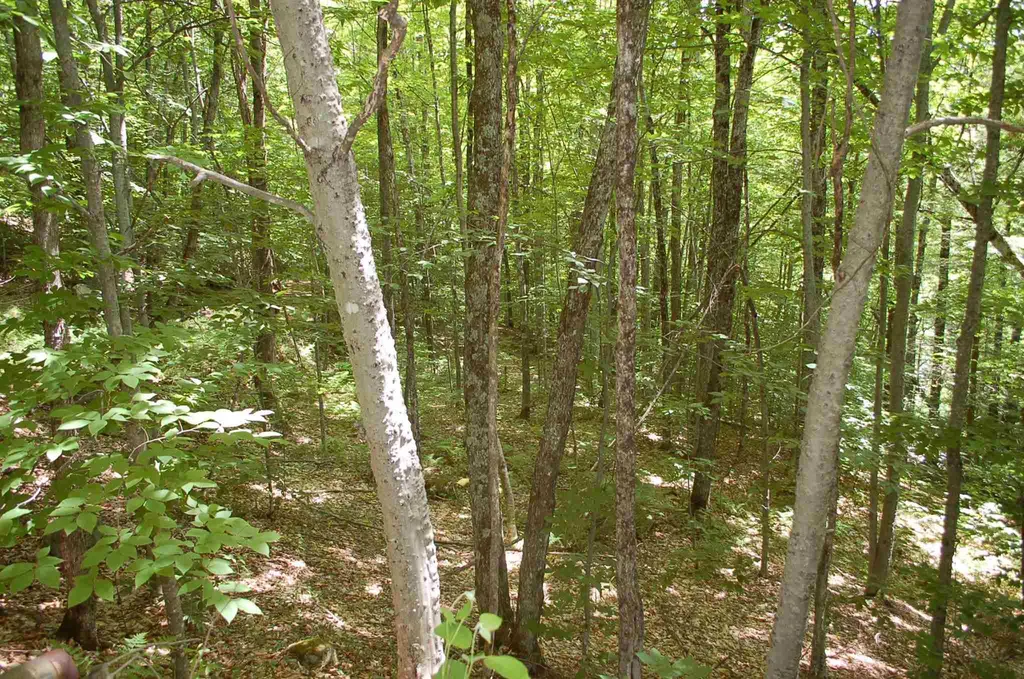 203 Harts Road Topsham VT 05076