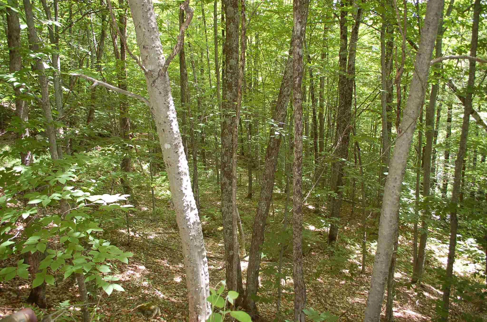 203 Harts Road Topsham VT 05076