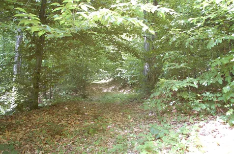 203 Harts Road Topsham VT 05076
