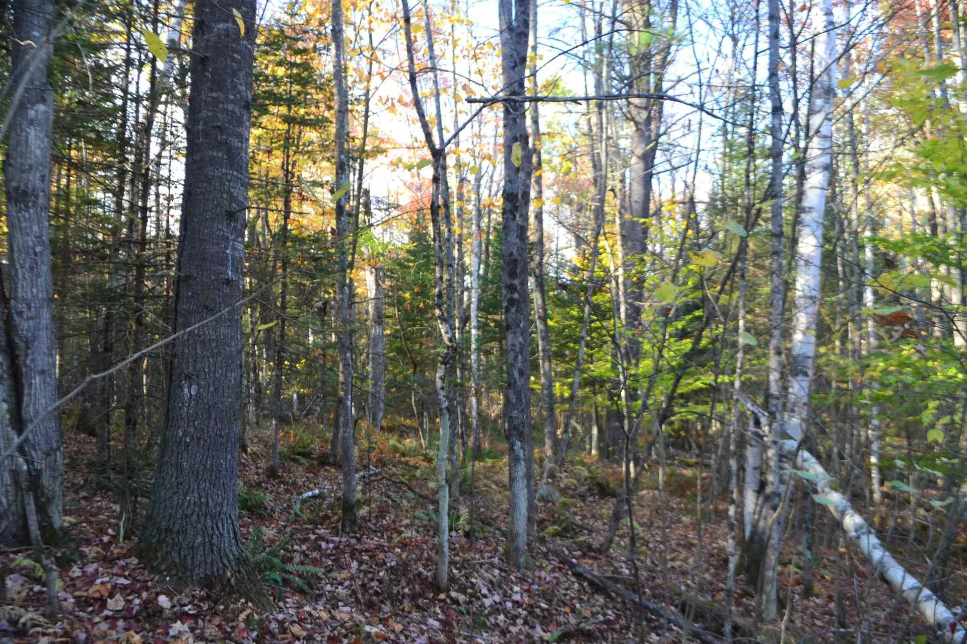 22 Conway Lane Haverhill NH 03765