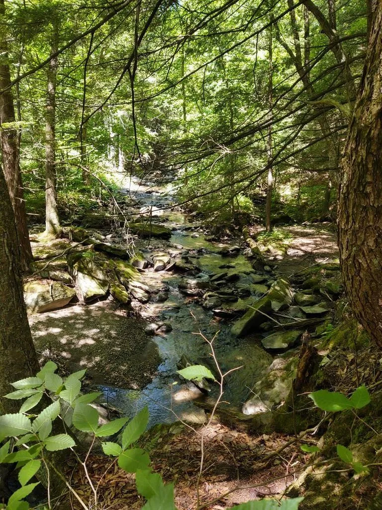 369 Oneil Drive Richmond VT 05477