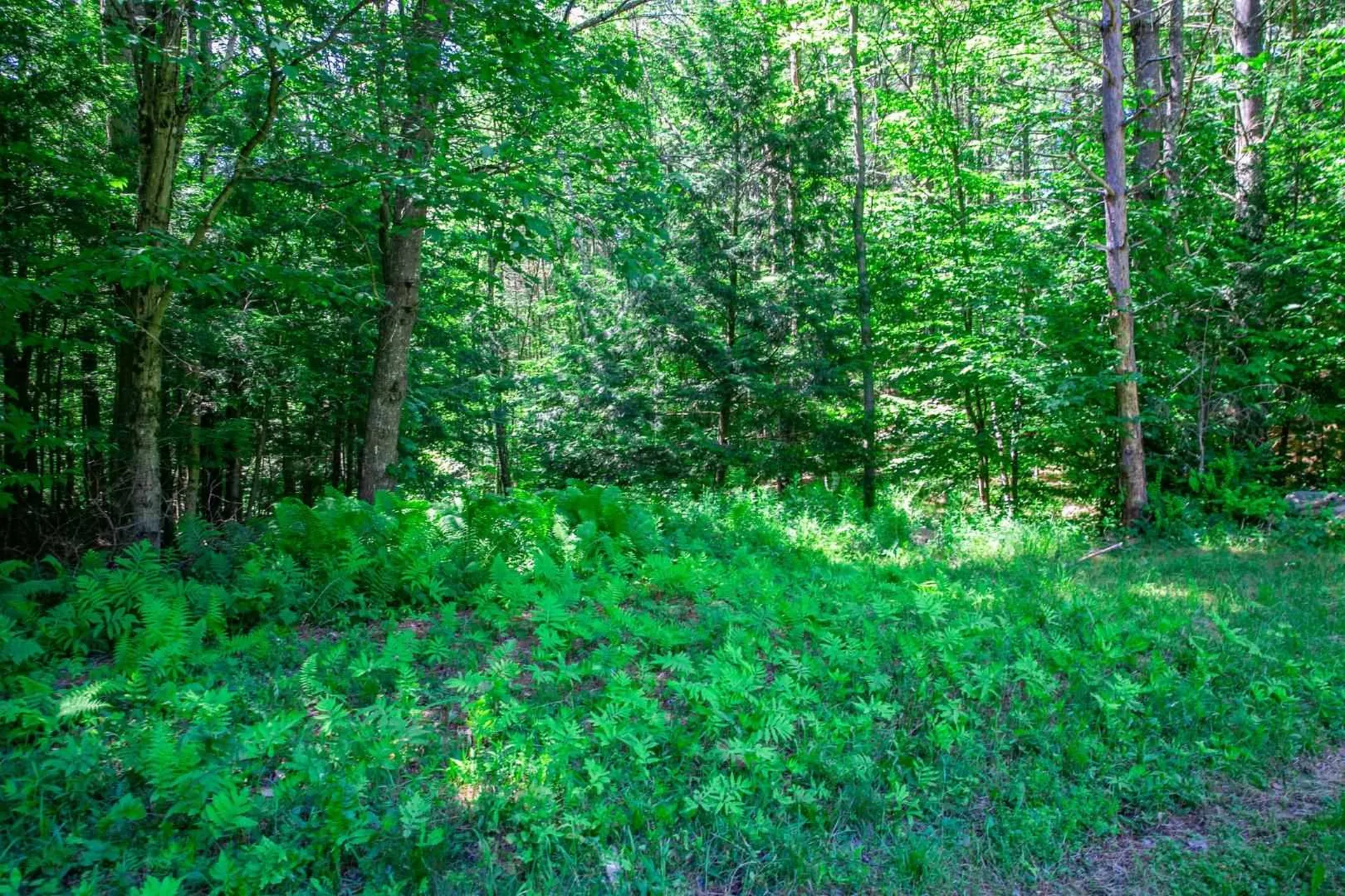 369 Oneil Drive Richmond VT 05477