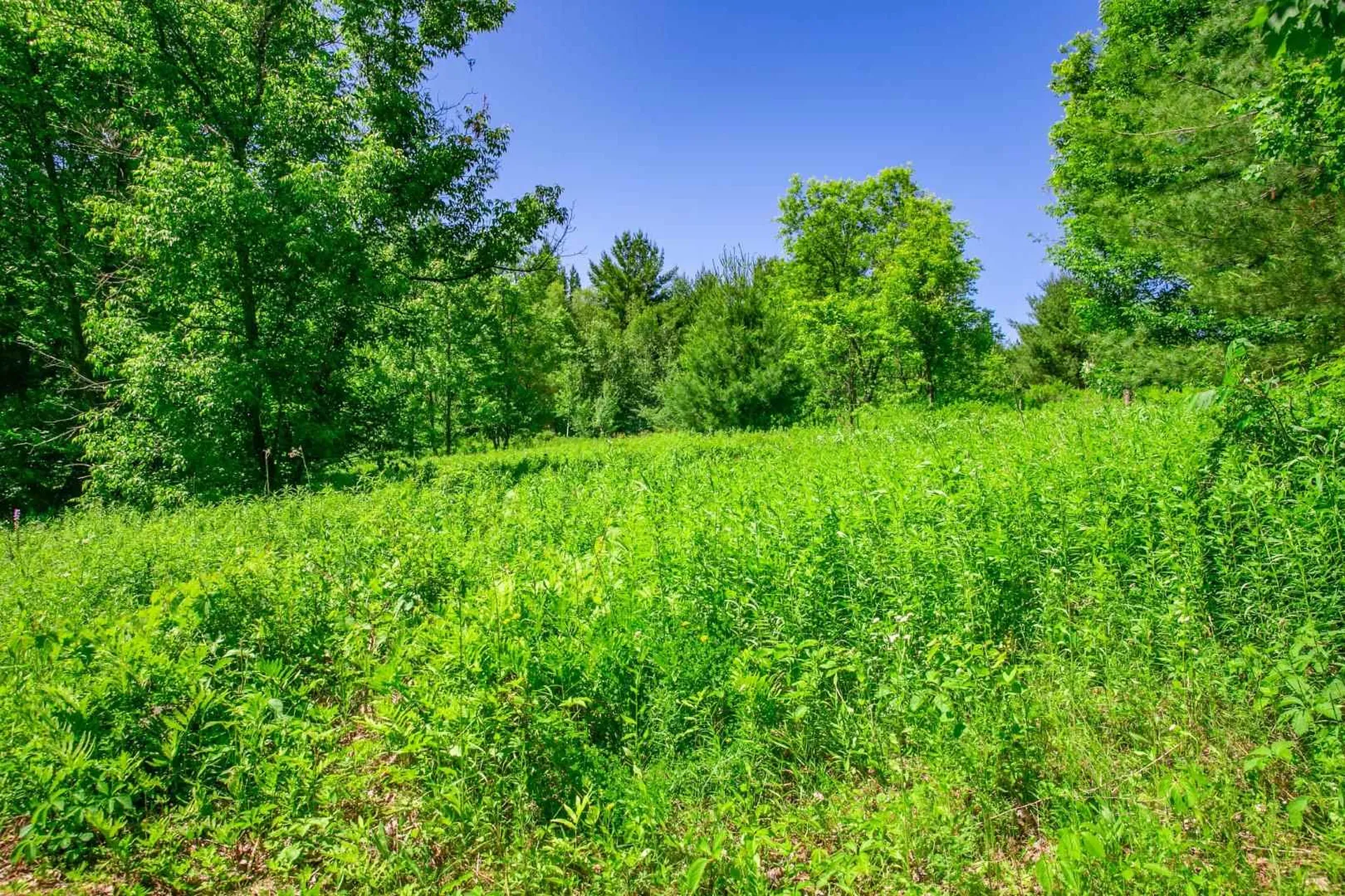 369 Oneil Drive Richmond VT 05477