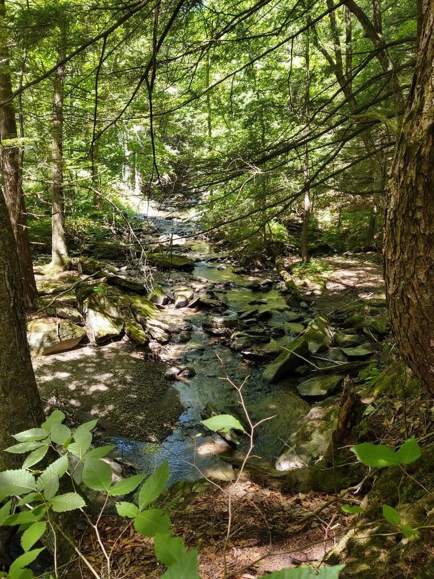 369 Oneil Drive Richmond VT 05477