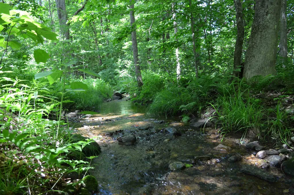 00 Spaulding Road Plymouth VT 05056