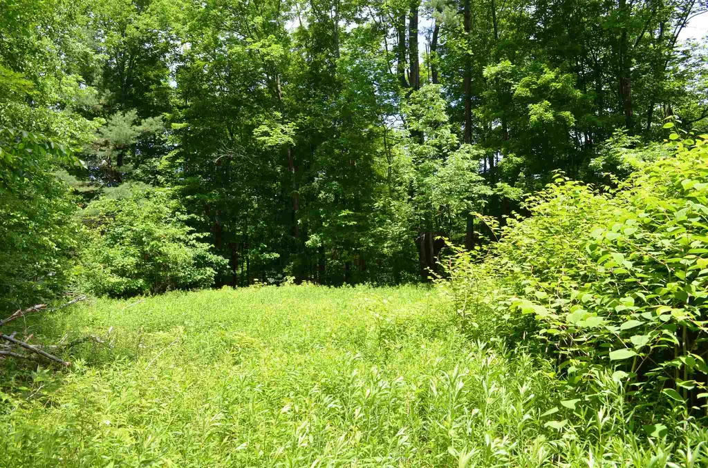 00 Spaulding Road Plymouth VT 05056