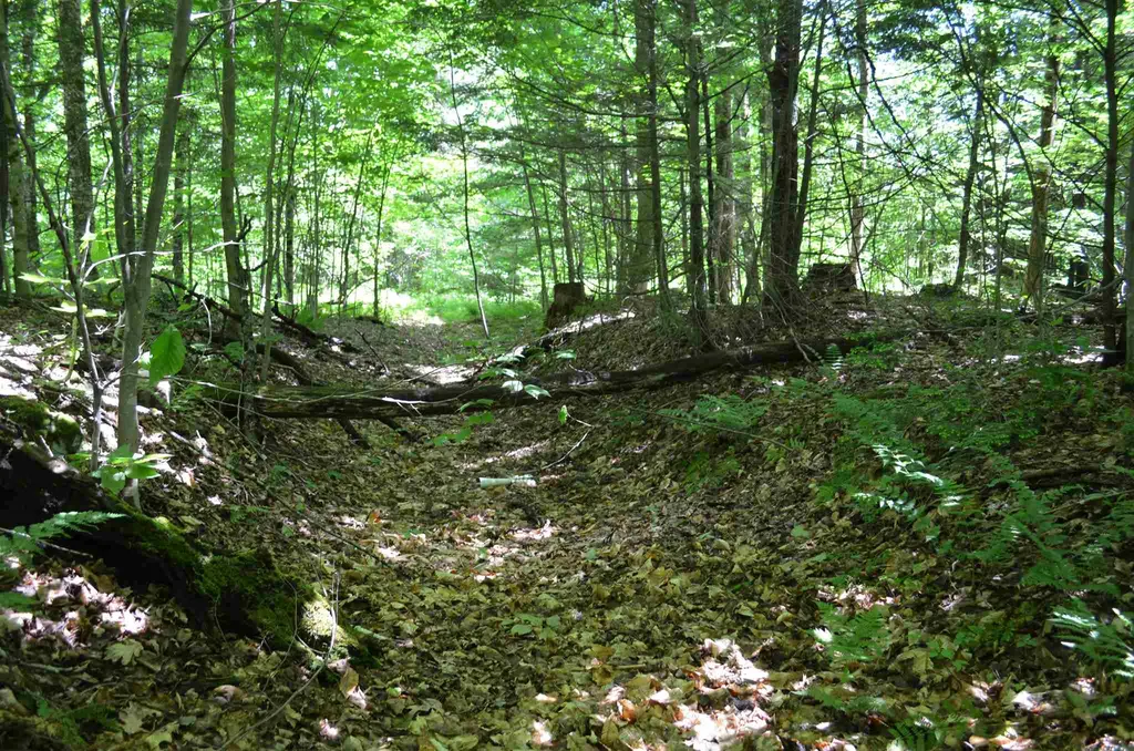 00 Spaulding Road Plymouth VT 05056