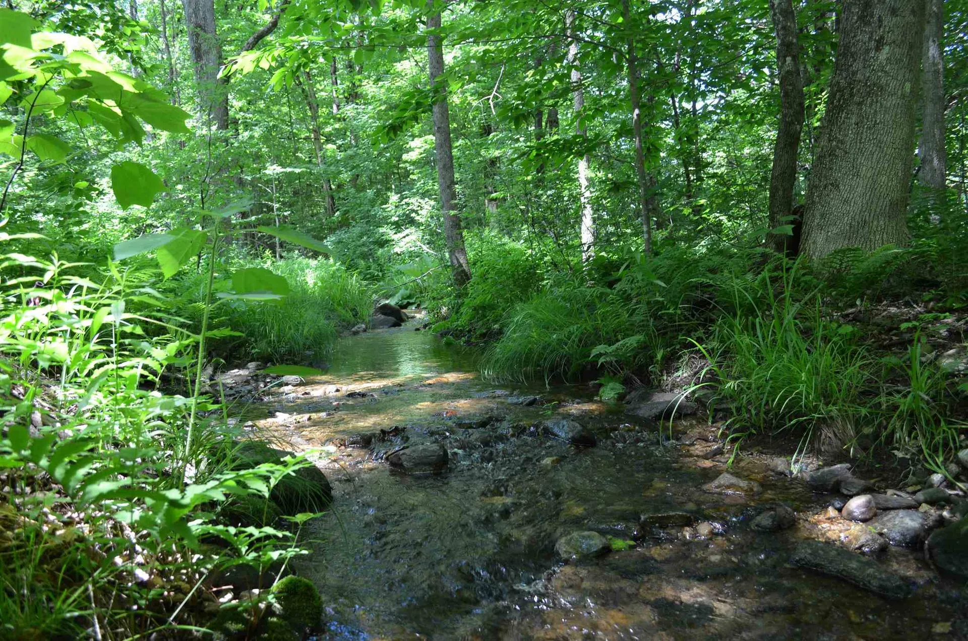 00 Spaulding Road Plymouth VT 05056