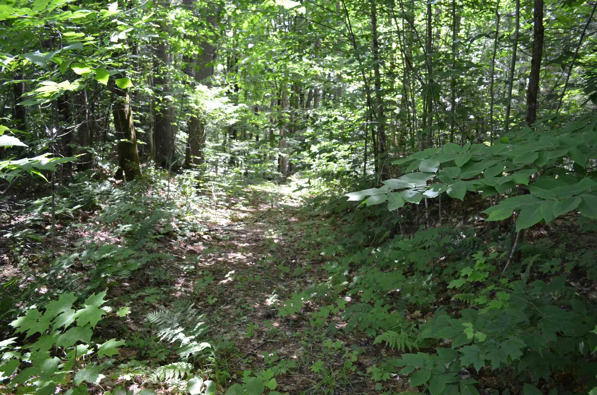 00 Spaulding Road Plymouth VT 05056